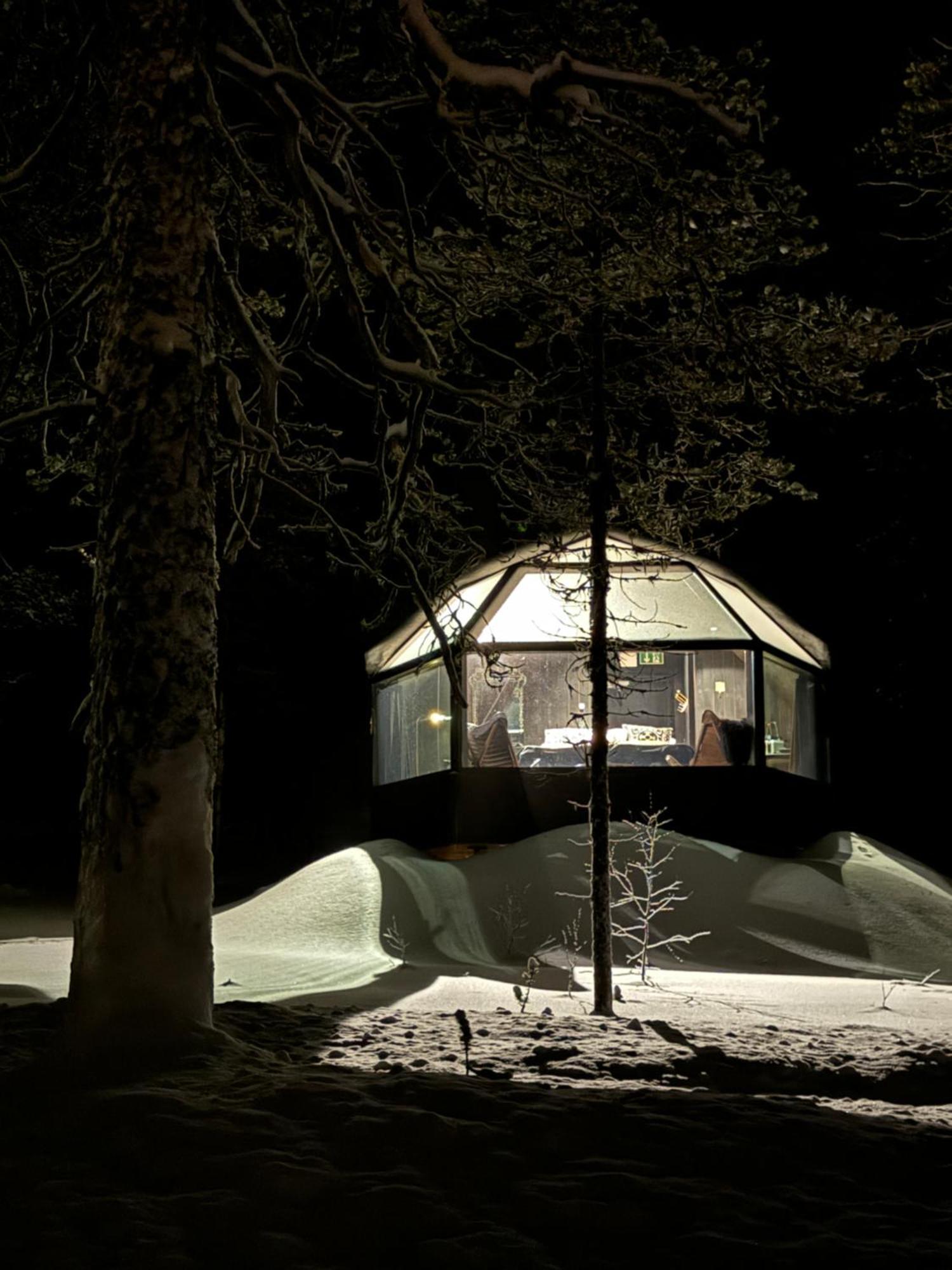 Aurora Queen Resort Igloos Saariselkä Exterior foto