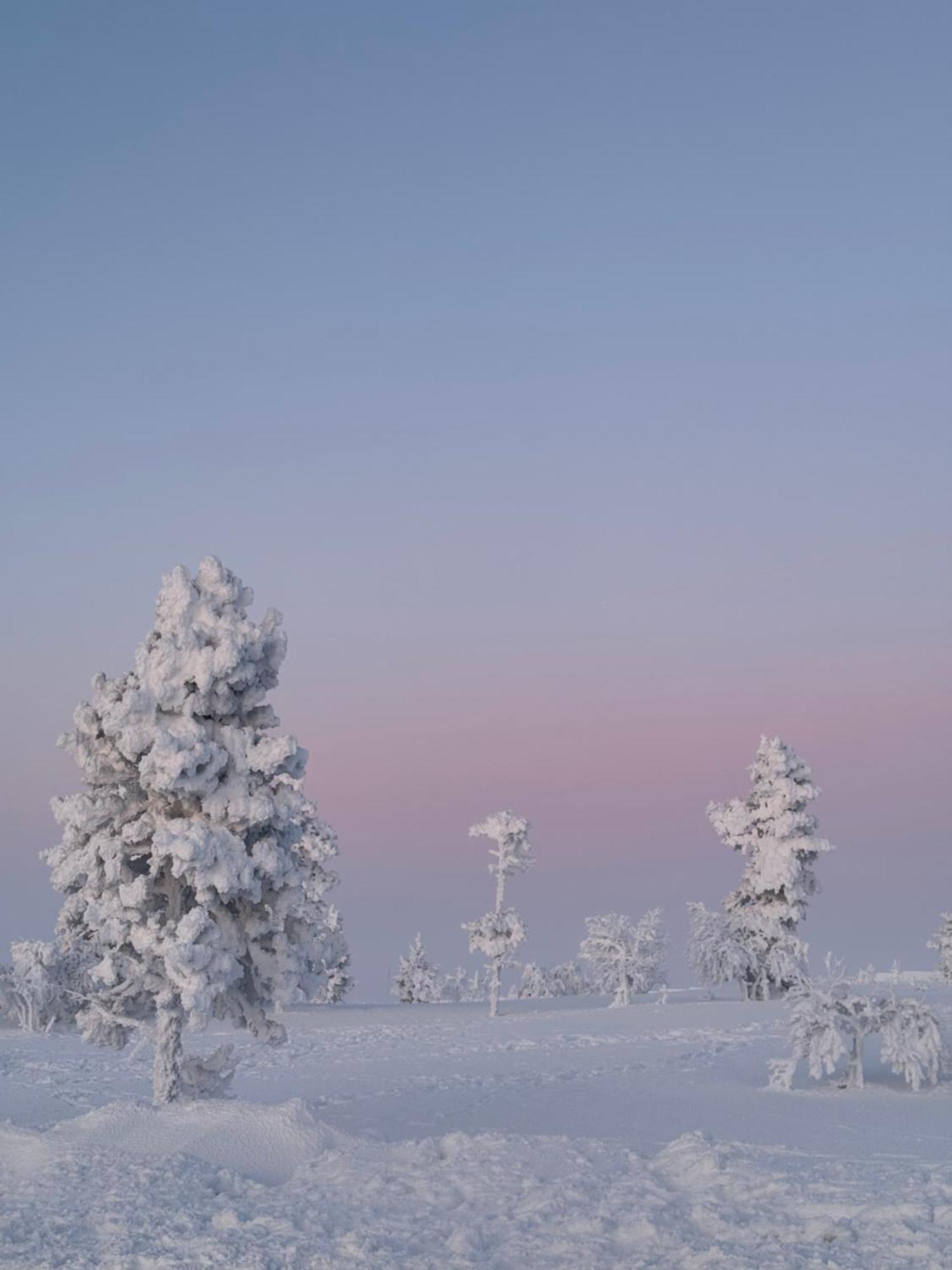 Aurora Queen Resort Igloos Saariselkä Exterior foto